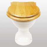 Light Oak toilet seat