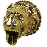 Lion's head spout